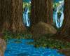 Arianas Rain forest