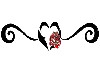 Rose divider 3