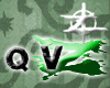 [Z] Q V Z
