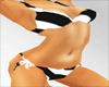 DaMaS 2009 Bikinis