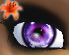 Prism Eyes Purple Rain