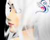 Snow Queen Hair
