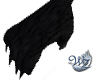 Black Paws F