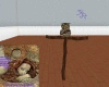 R Witches Owl
