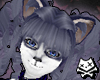 Blueberry Lolicurls