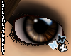 [L] Brown i-Glass