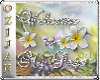 oziFranjipani welcome