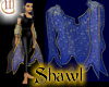 Shawl - Blue and Gold