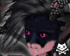 Strawberry / Black Eiko