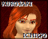 Kenshin Hair