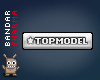 (BS) TOPMODEL sticker