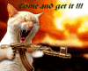 Catfight