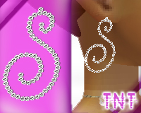 Diamond S Earrings