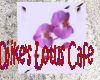 Lotus flower cafe