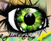 (Lyd)MelonHouseEyes
