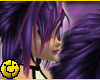 Purple Pink Streak Rikey