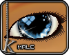 [K] Blue Twinkle Eye (m)