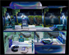 Dolphin Villa Bundle
