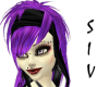 Black Lilac Kikio