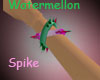 *MET Watermellon Spike R