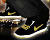 (e) Gold and Black Dunks
