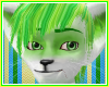 Lime Coconut Tabby
