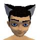 cat ears black