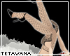 [T] LIZETH Heels w/nets
