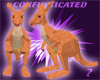 ~?~RedKangaroo