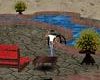 BARRELRACER APT./POOL