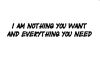 I'm nothing you want...