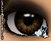 [L] Brown i-Sparkle