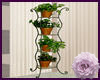 House Plants On Stand