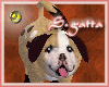 [sveva]My Lovely Puppy