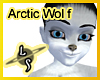 Arctic Wolf