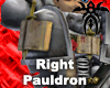 Grey Knight B. - RP