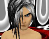 Silver Black Hair