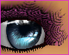 PinkBlack Lace Lashes