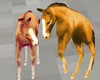 [TGUU]Ponies Play Brown