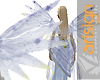 Vari Angel Wings