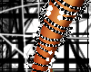 [OF] So Plaid L leg brac