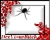 MY HOMEPAGE SPIDER