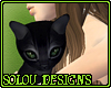 Black cat