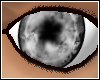 Midnight Dream Eyes
