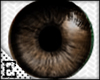 [E] aHabit Brown