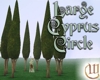 Circle of 11 Large Cyprus Trees