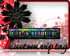 life is beautiful -jk