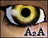 -A2A- DeepOrange