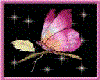 Butterfly in Rainbow