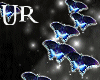 UR  Blue Butterflies